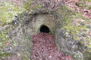 Una tomba etrusca facente parte della piccola necropoli nei boschi del Castello di Grotti