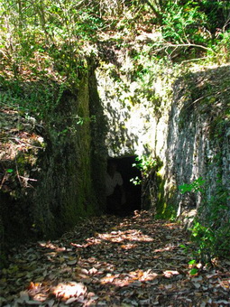 rampa che porta alla camera mortuaria della tomba etrusca 
        dell'Edera nei boschi del Castello di Grotti