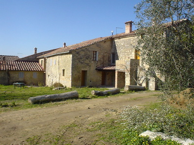 il podere Certino visto dall'oliveto