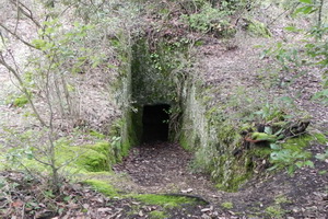 la Villa Ballati e sullo sfondo il Castello di Grotti