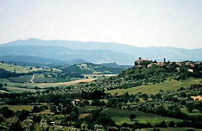Veduta della valle dell'Albegna e del paese di Saturnia circondato da grandi oliveti - Territorio incontaminato ricco di percorsi ciclistici e per tracking